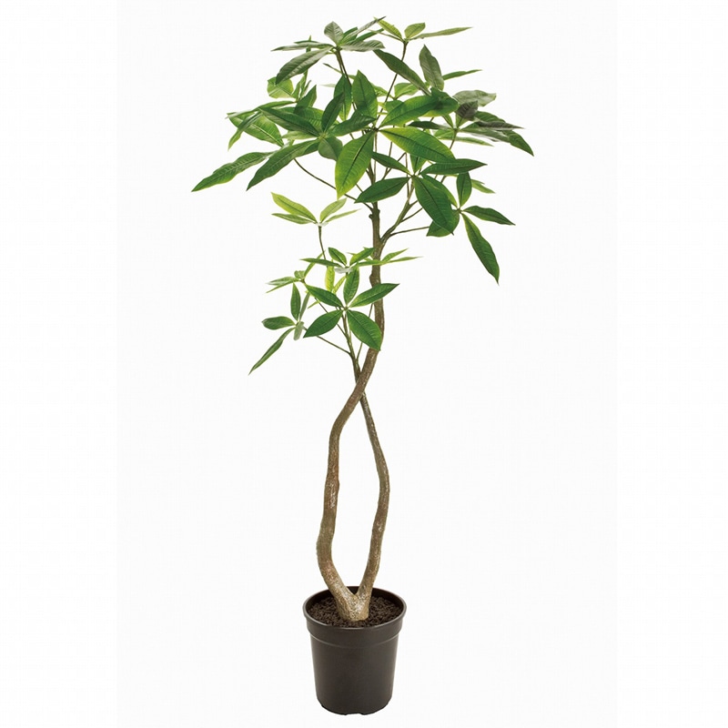 東京堂 造花　パキラ　4F FG22000 グリーン 1台（ご注文単位1台）【直送品】