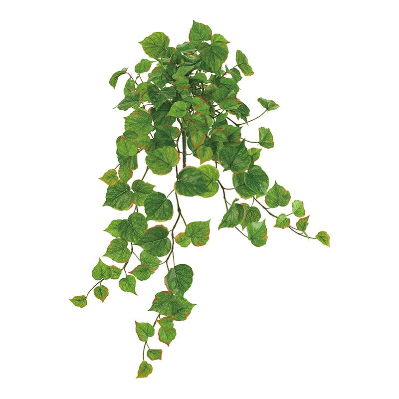 東京堂 造花　マチュリテコットンウッドバイン FG5278 ライトグリーン 1本（ご注文単位1本）【直送品】