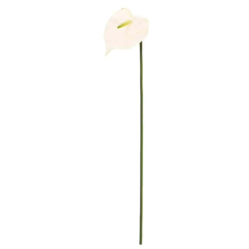 東京堂 造花 スプレンダアンスリウム S FM6172 ホワイト 1本(ご注文単位24本)【直送品】