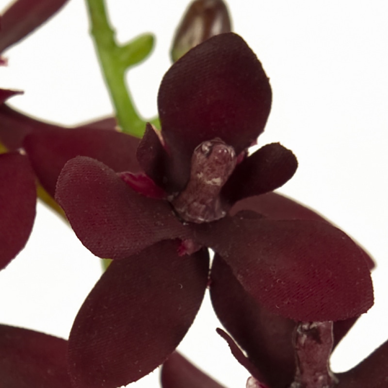 東京堂 造花 ルシアファレノ FM1256 バーガンディ 1本(ご注文単位1本)【直送品】