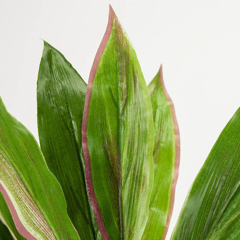 東京堂 造花 サリュードラセナブッシュ FG9029 クリームグリーン 1本(ご注文単位1本)【直送品】