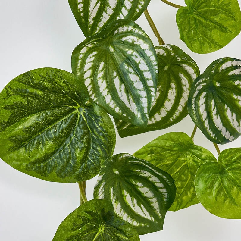 東京堂 造花 ペペロミアカペラータバイン FG8707 グリーン 1本(ご注文単位1本)【直送品】