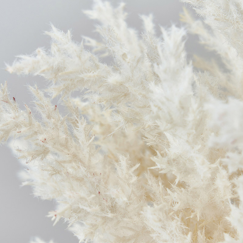 東京堂 造花 ショートパンパスバンドル FM2020 クリームベージュ 1束(ご注文単位1束)【直送品】