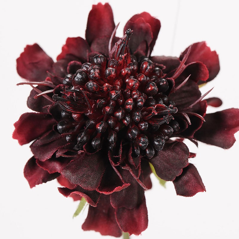 東京堂 造花 ドゥーブルスカビオサ FM1915 バーガンディ 1本(ご注文単位1本)【直送品】