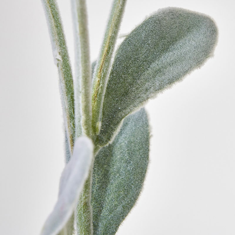 東京堂 造花　フランネルスプレー FM8778 ホワイト 1本（ご注文単位1本）【直送品】