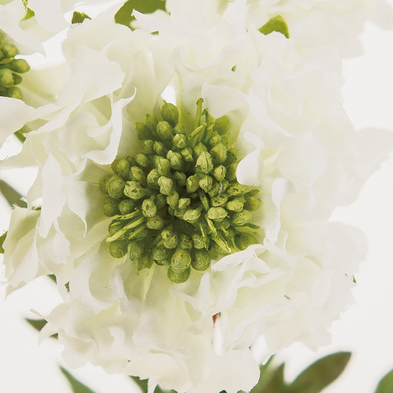 東京堂 造花 フリンジスカビオサ FM9378 ホワイト 1束(ご注文単位1束)【直送品】