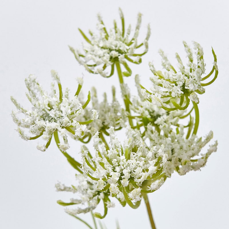 東京堂 造花 カラードレースフラワー FM243 ホワイト 1本(ご注文単位1本)【直送品】