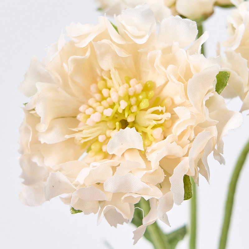 東京堂 造花 フリンジスカビオサ FM9378 クリーム 1束(ご注文単位1束)【直送品】