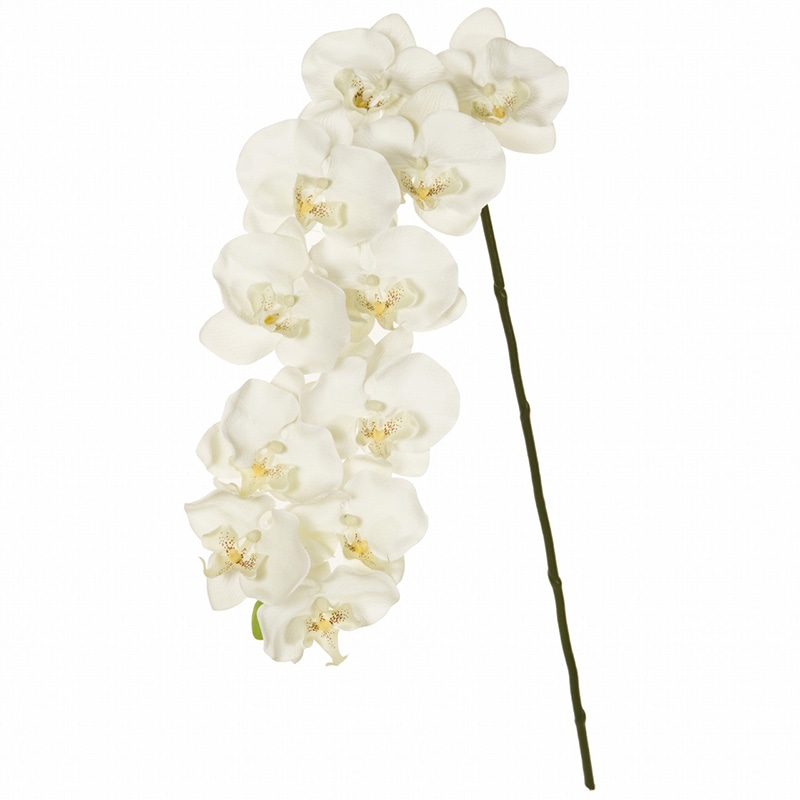 東京堂 造花　ファレノプルミエール　L FM4830 クリーム 1本（ご注文単位1本）【直送品】