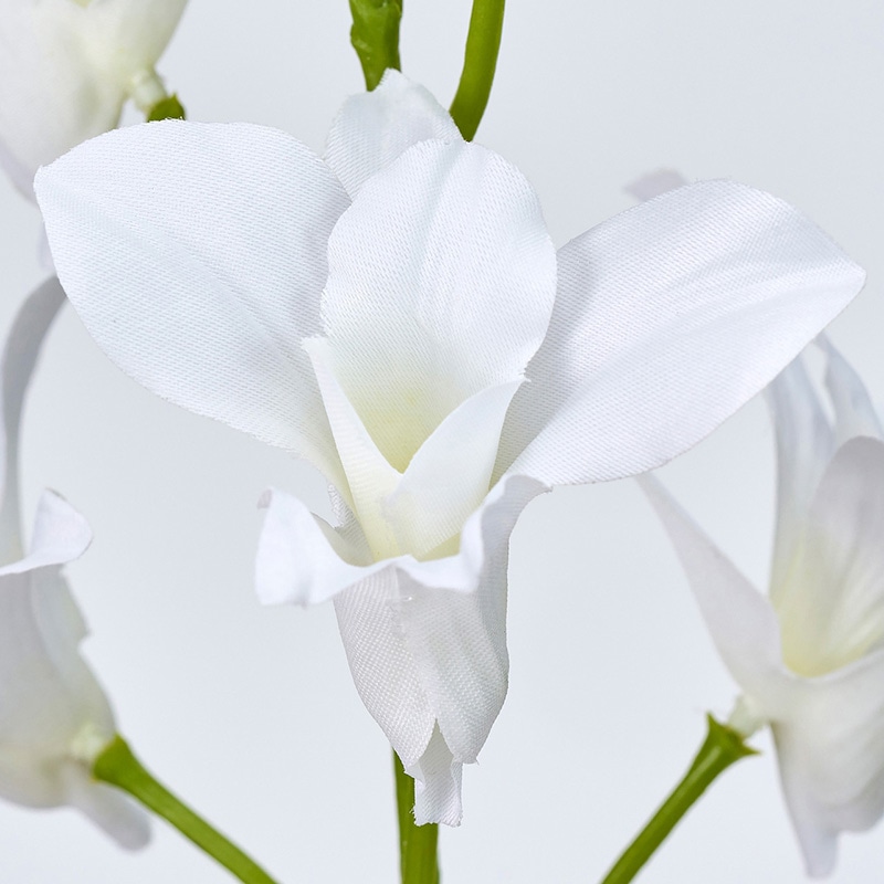 東京堂 造花　イノセントデンファレ FM302212 ホワイト 1本（ご注文単位1本）【直送品】