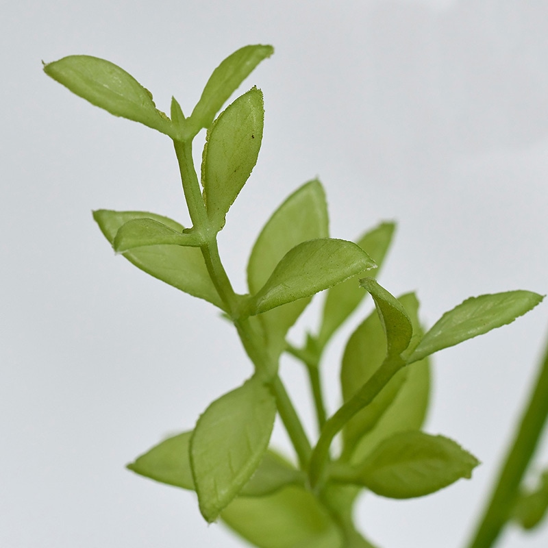 東京堂 造花　ルスカススプレー FG2203 ライムグリーン 1本（ご注文単位1本）【直送品】