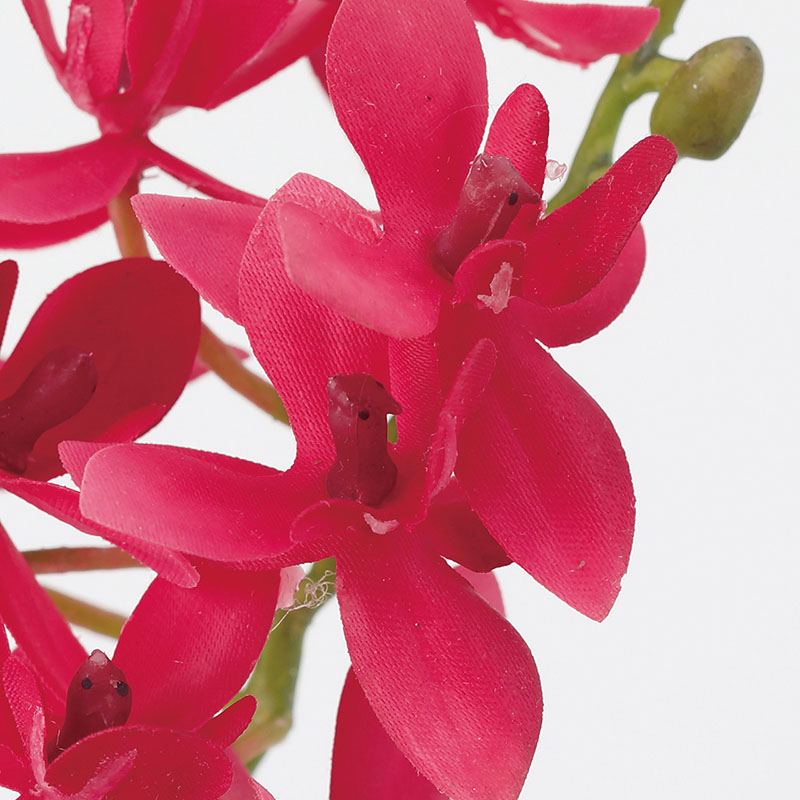 東京堂 造花　ルシアファレノ FM1256 レッド 1本（ご注文単位1本）【直送品】