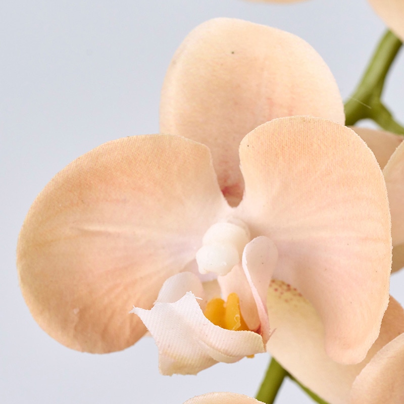 東京堂 造花 ミニョンヌファレノ FM8806 ピーチベージュ 1本(ご注文単位1本)【直送品】