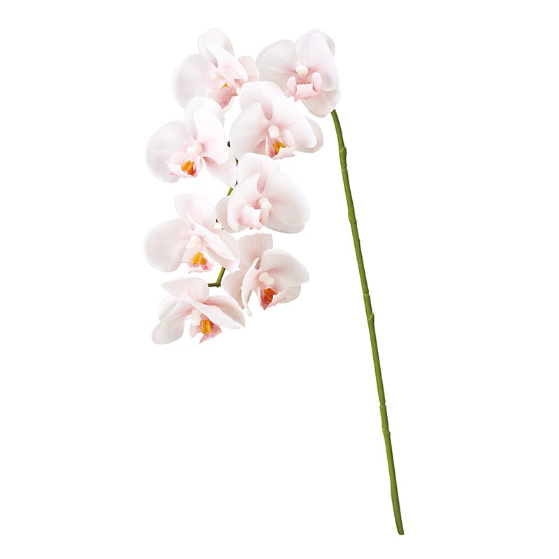 東京堂 造花　ミニョンヌファレノ FM8806 ホワイトピンク 1本（ご注文単位1本）【直送品】