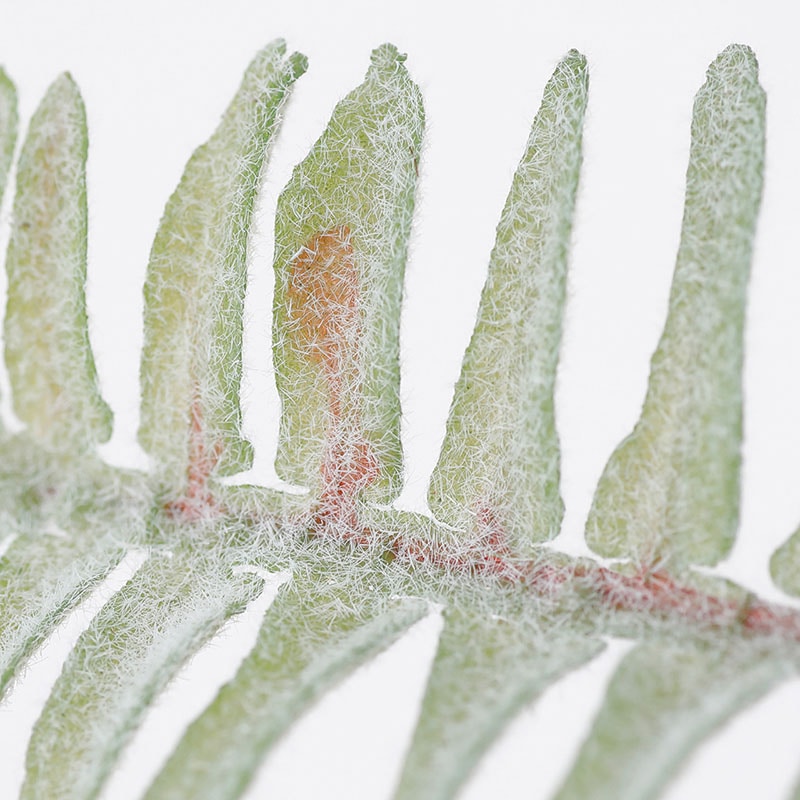 東京堂 造花 フロック玉シダブッシュ FG1987 グリーン 1本(ご注文単位1本)【直送品】