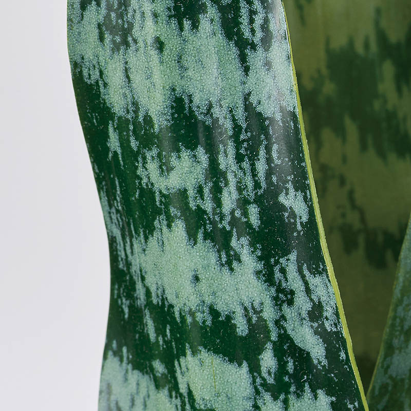 東京堂 造花 サンスベリアゼブラ FG1016 グリーン 1本(ご注文単位1本)【直送品】