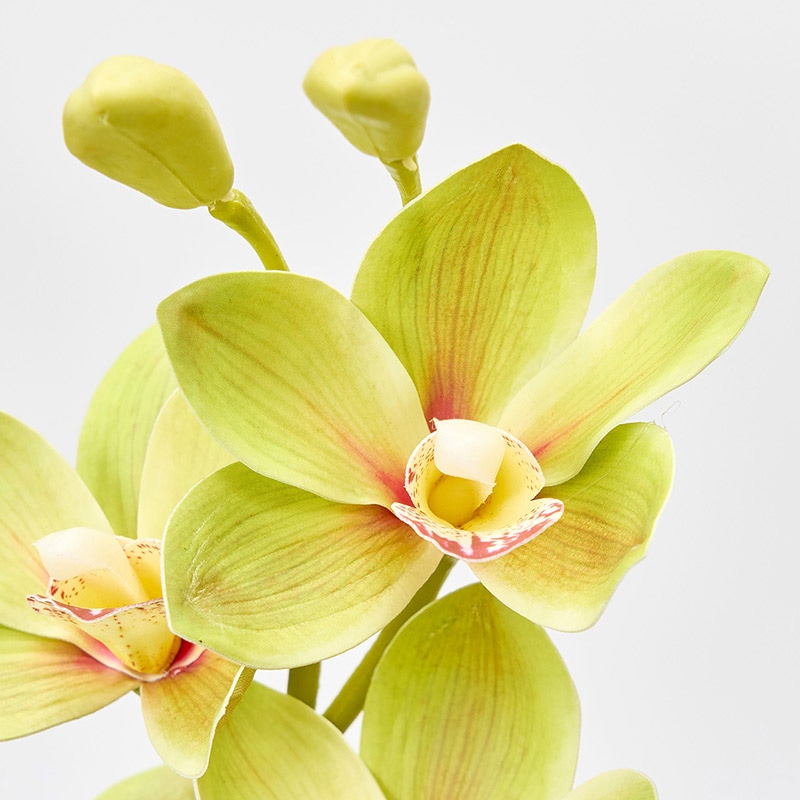 東京堂 造花 ブライトシンビジウム FM1108 グリーンレッド 1本(ご注文単位1本)【直送品】