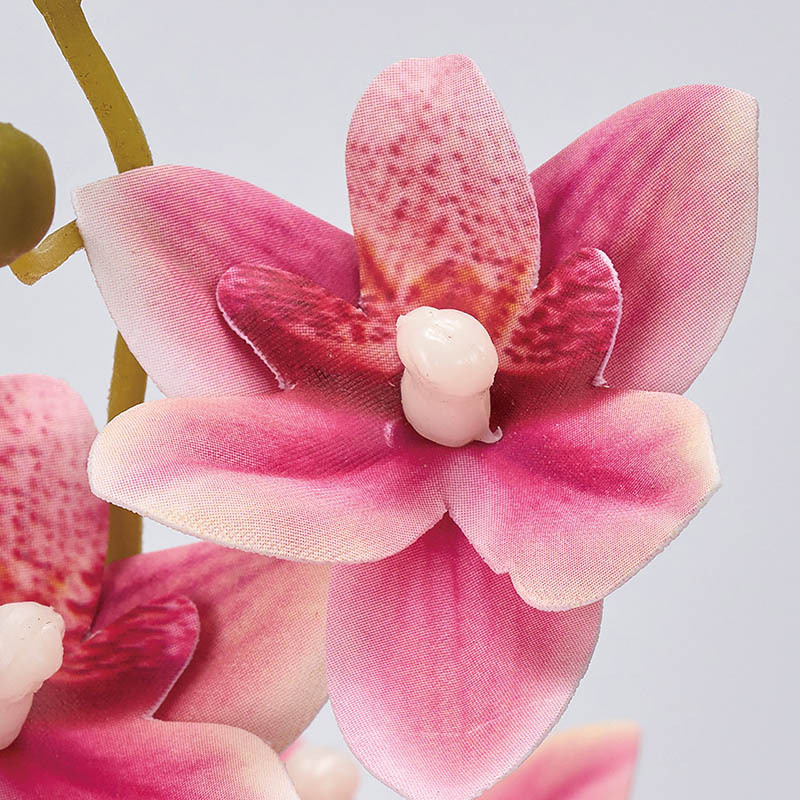 東京堂 造花 プリマオーキッド FM1107 ビュティー 1本(ご注文単位1本)【直送品】