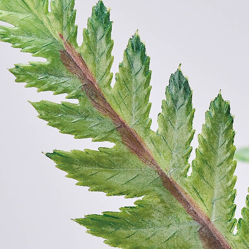 東京堂 造花 ブルージーファーン FG681 グリーン 1本(ご注文単位1本)【直送品】