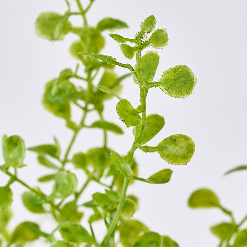 東京堂 造花 ソフトミニユーカリブッシュ FG817 ライム 1本(ご注文単位1本)【直送品】