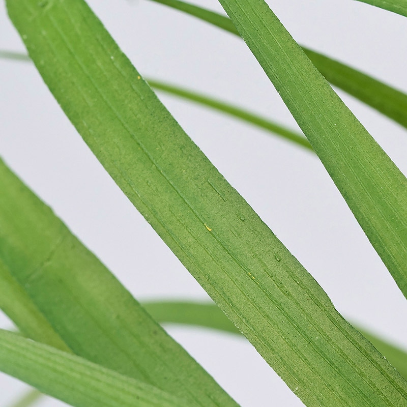 東京堂 造花 グラスブッシュ FG237 グリーン 1本(ご注文単位1本)【直送品】