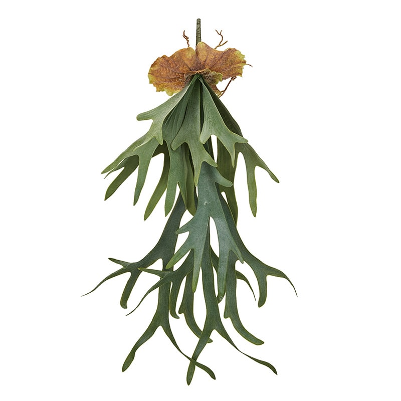 東京堂 造花　コウモリランL FG1991 グリーン 1本（ご注文単位1本）【直送品】