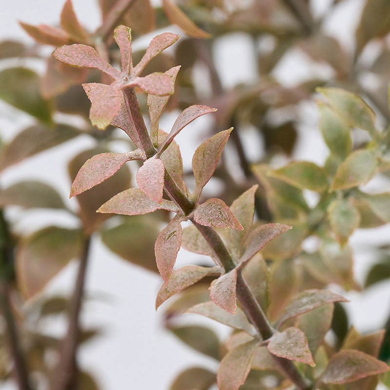 東京堂 造花 タイムブッシュ FG517 モーブ 1本(ご注文単位1本)【直送品】