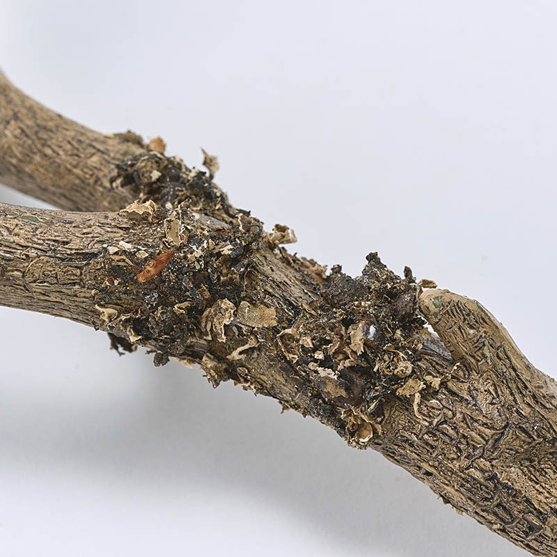 東京堂 造花　ディスプレイブランチ FG2673 ブラウン 1本（ご注文単位1本）【直送品】