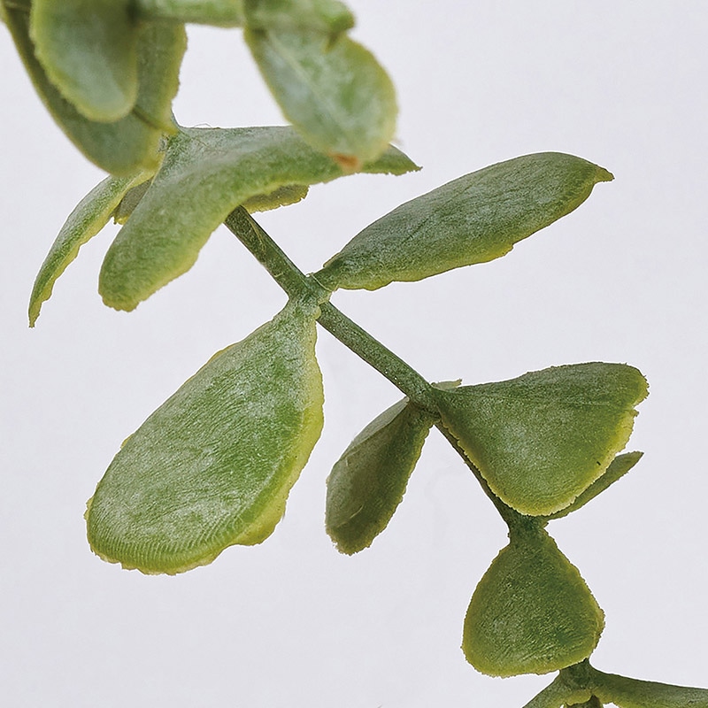 東京堂 造花 ユーカリリングバイン FG1251 シルバーグリーン 1本(ご注文単位1本)【直送品】