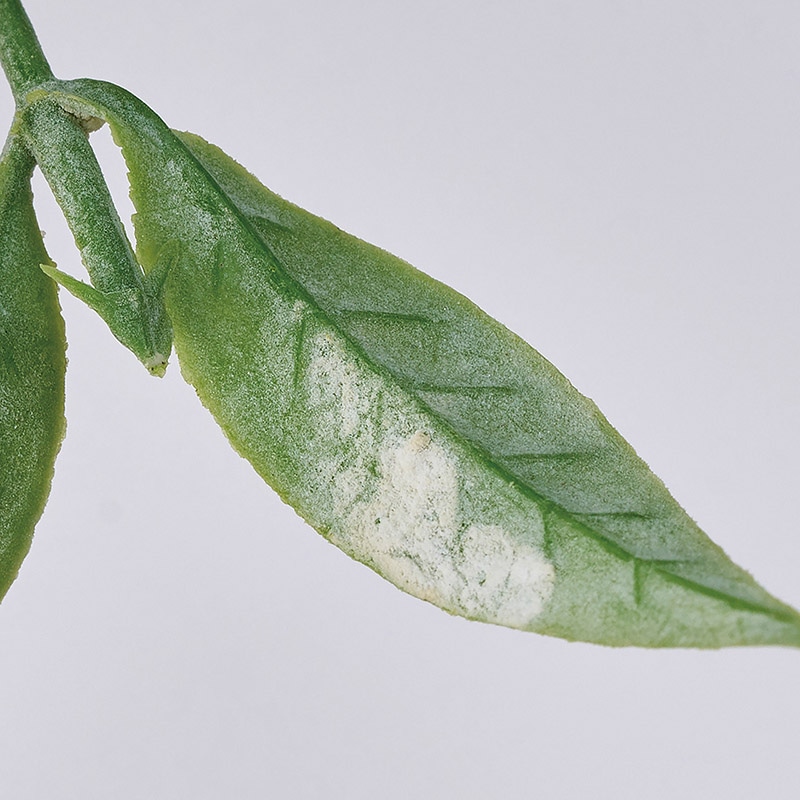 東京堂 造花 ミニリーフリングバイン FG1252 シルバーグリーン 1本(ご注文単位1本)【直送品】