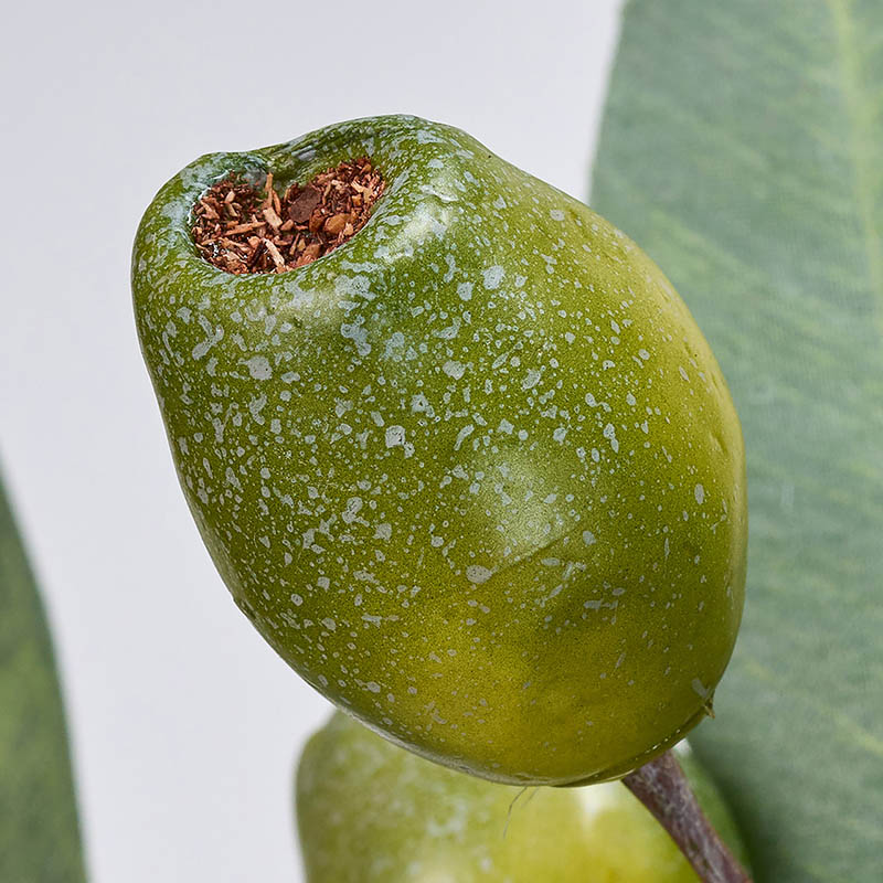 東京堂 造花 ユーカリベルギーナッツ枝 FM1719 グリーン 1本(ご注文単位1本)【直送品】