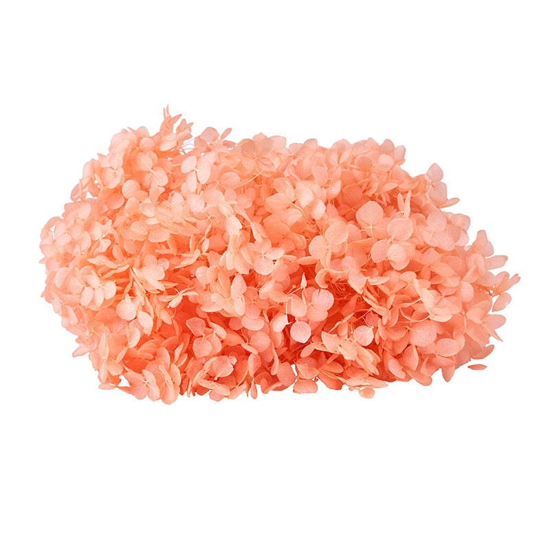 東京堂 プリザーブドフラワー　ソフトあじさいアナベル サンゴ FD004730-328 　1箱（ご注文単位1箱）【直送品】