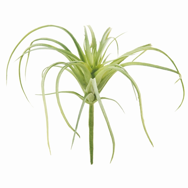 東京堂 造花　エアプランツ FG1364 グリーン 1本（ご注文単位1本）【直送品】