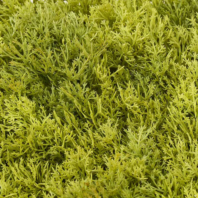 東京堂 ディスプレイ レインディアモスマット イエロー/グリーン FG302507-023 1枚（ご注文単位1枚）【直送品】