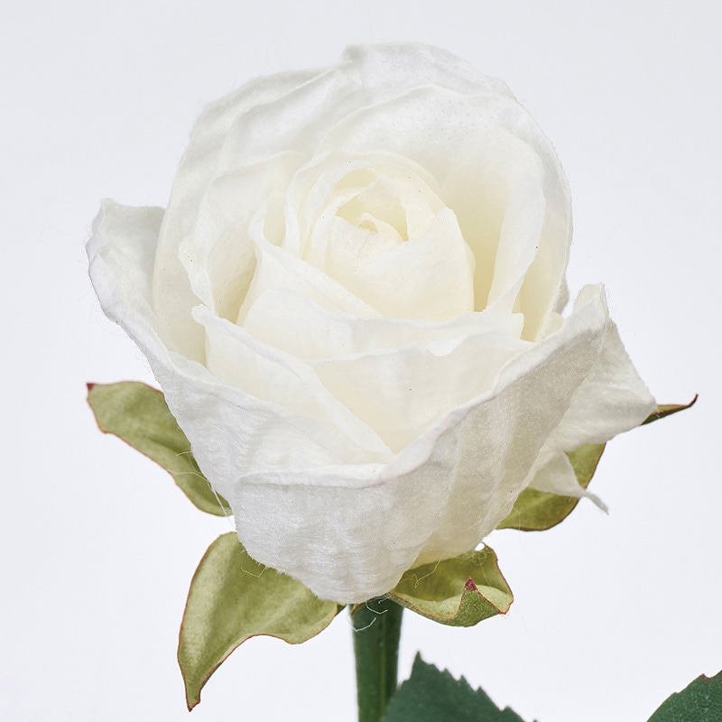 東京堂 造花 エレンローズS ホワイト FM000125-001 1本(ご注文単位1本)【直送品】