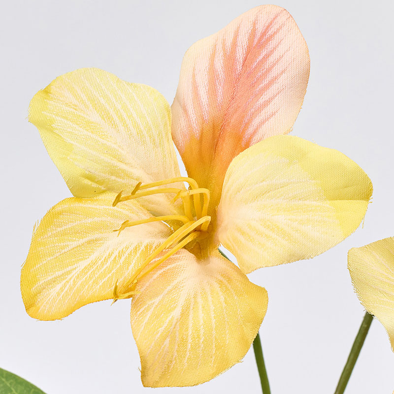 東京堂 造花 パラディバウヒニア イエロー/オレンジ FM003120-004 1本(ご注文単位1本)【直送品】