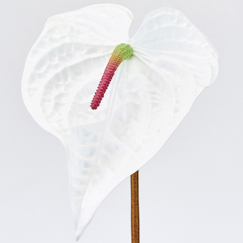 東京堂 造花 インプレスアンスリウム ホワイト FM302530-001 1本（ご注文単位1本）【直送品】