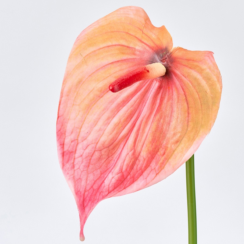 東京堂 造花 スプレンダアンスリウム M オレンジ/レッド FM005173-009 1本(ご注文単位1本)【直送品】