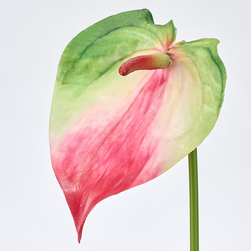 東京堂 造花 スプレンダアンスリウム M グリーン/レッド FM005173-152 1本（ご注文単位1本）【直送品】