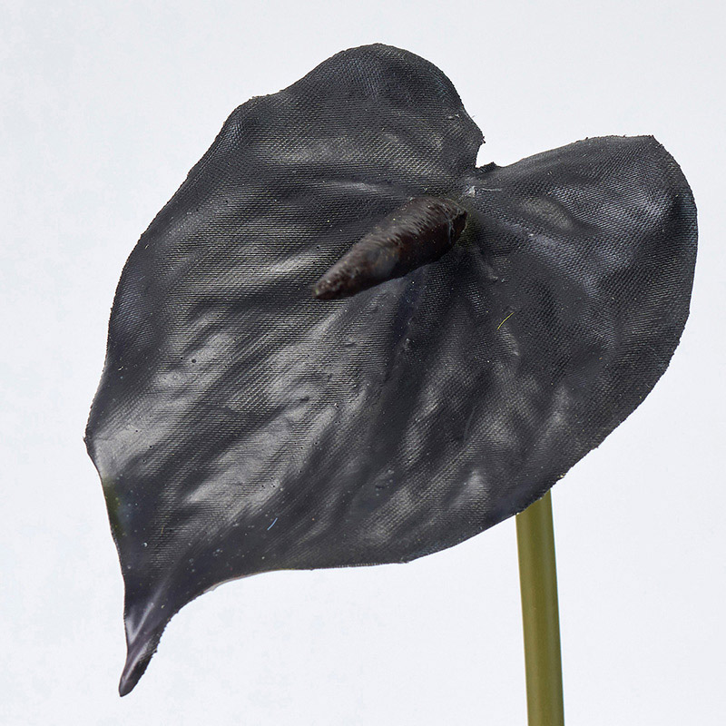 東京堂 造花 スプレンダアンスリウム S ブラック FM006172-020 1本（ご注文単位24本）【直送品】