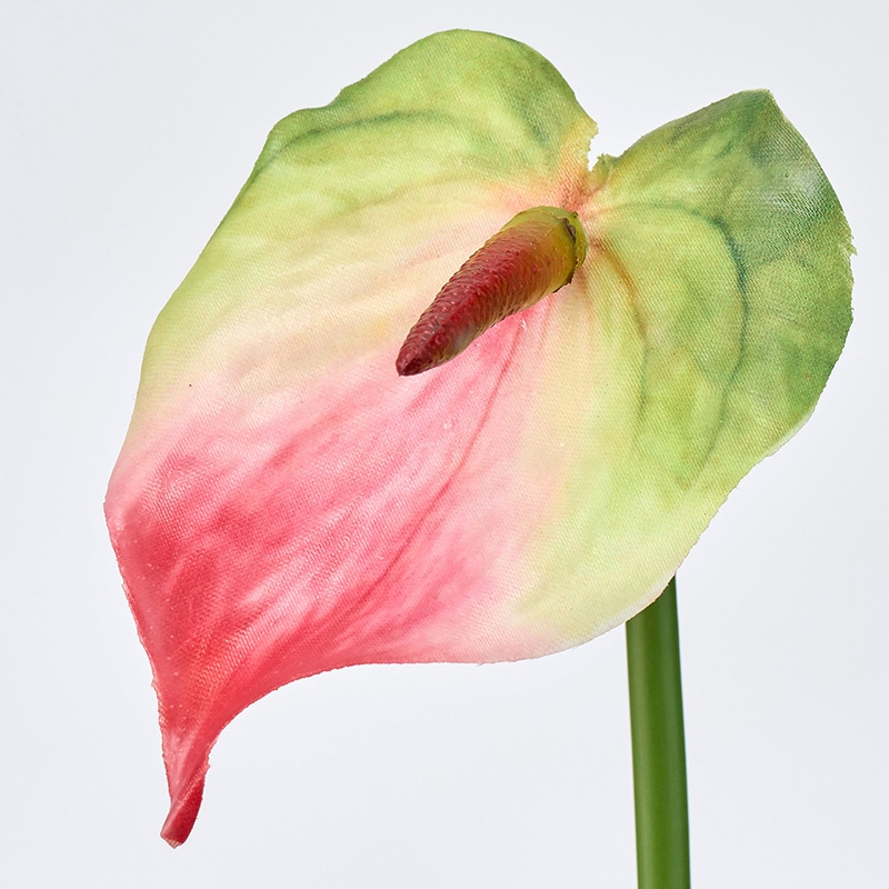 東京堂 造花 スプレンダアンスリウム S グリーンレッド FM006172-152 1本(ご注文単位24本)【直送品】