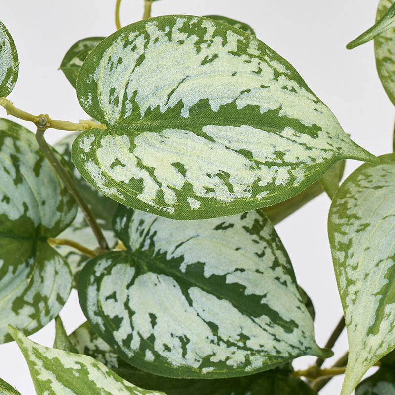 東京堂 造花 スキンダプサスロングバイン グリーン FG302513 1本（ご注文単位1本）【直送品】