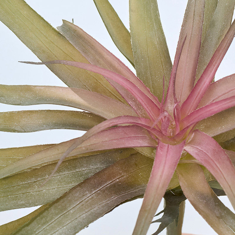 東京堂 造花 ソニアティランジアL ピンクグリーン FG302510-026 1本(ご注文単位1本)【直送品】