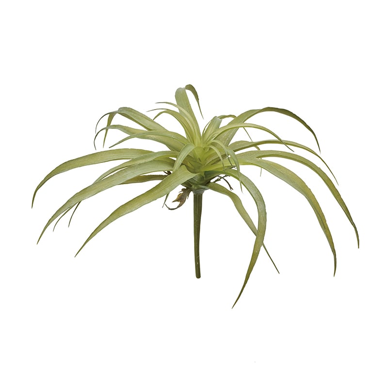 東京堂 造花 ソニアティランジアL グリーン FG302510-024 1本（ご注文単位1本）【直送品】