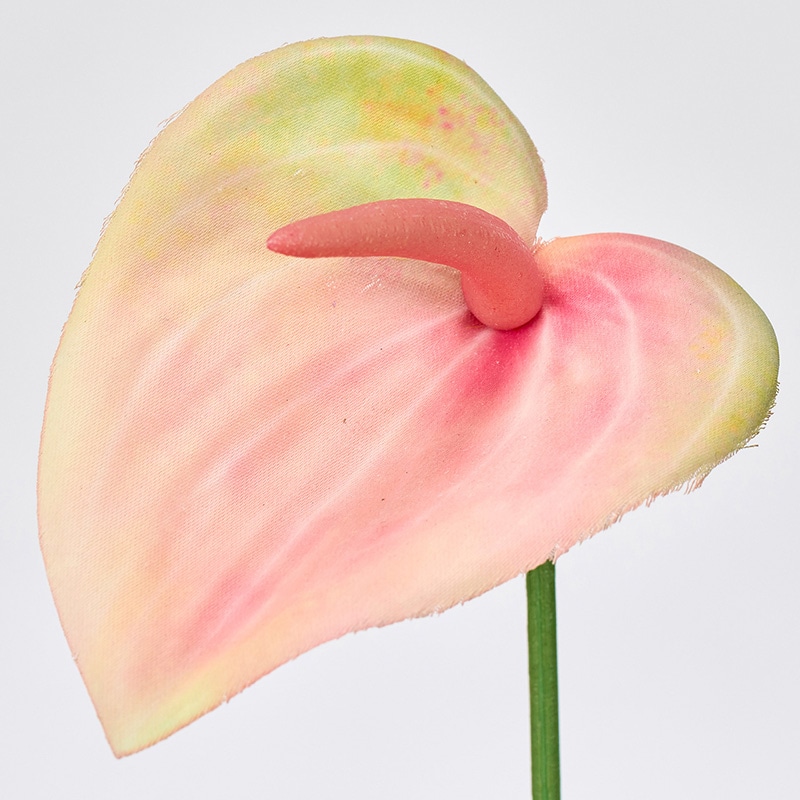 東京堂 造花 シャーリーアンスリウム ピーチ/グリーン FM000104-006 1本(ご注文単位24本)【直送品】