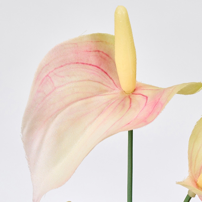 東京堂 造花 アネラアンスリウムバンドル ピーチ/グリーン FM000309-006 1束(ご注文単位1束)【直送品】