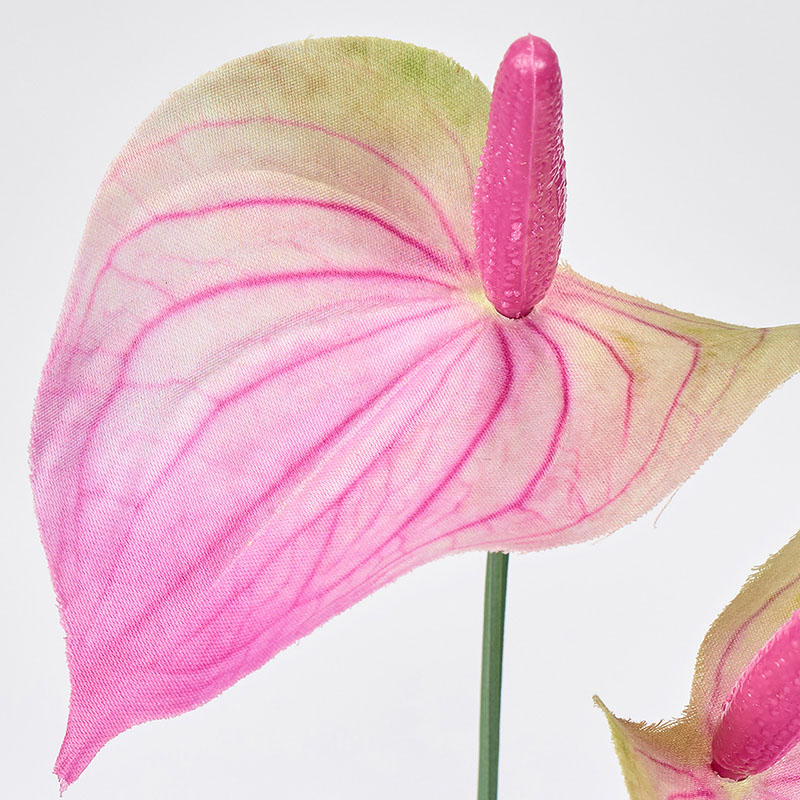 東京堂 造花 アネラアンスリウムバンドル ピンク/グリーン FM000309-052 1束(ご注文単位1束)【直送品】