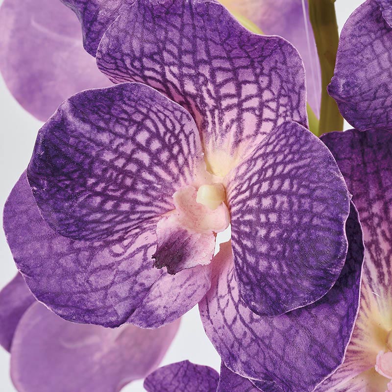 東京堂 造花 ワイルドバンダオーキッド パープル FW020475 1本(ご注文単位1本)【直送品】