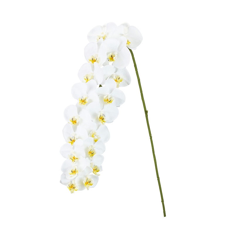 東京堂 造花 グランファレノプシスM ホワイト FM002375 1本(ご注文単位1本)【直送品】