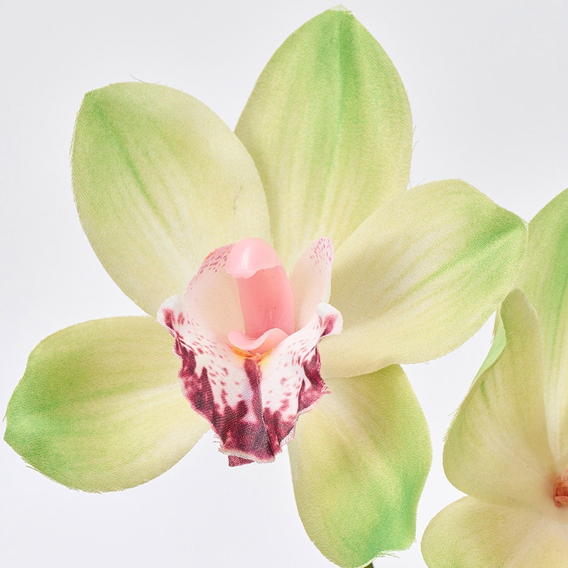 東京堂 造花 ミディシンビジウム グリーン/クリーム FM001037-023 1本(ご注文単位1本)【直送品】